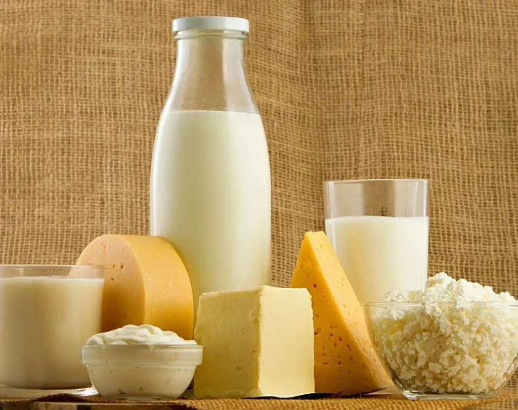 Польза молочных продуктов